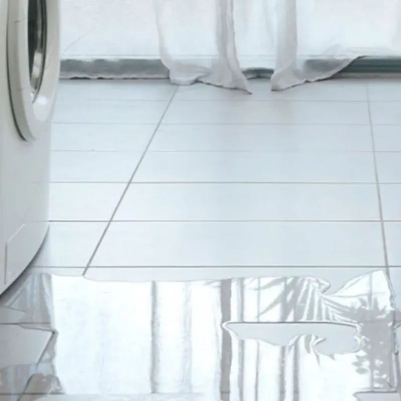 Appliance Leak Cleanup in Dover, DE