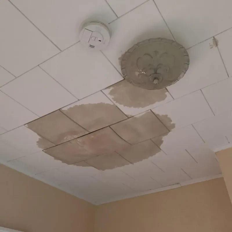 Ceiling Water Damage Repair in Dover, DE