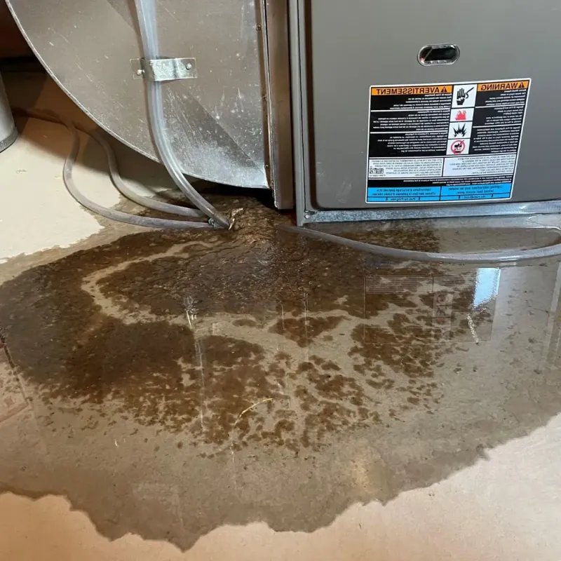 Pipe Burst and Leak Restoration in Dover, DE