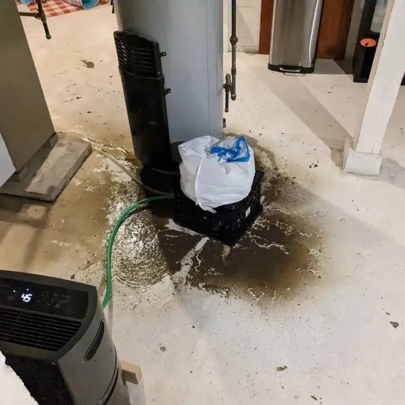 Sewage Backup Cleanup Service in Dover, DE